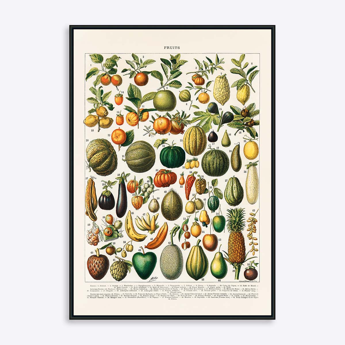 Se Fruits - 21x30 cm hos Poster Society