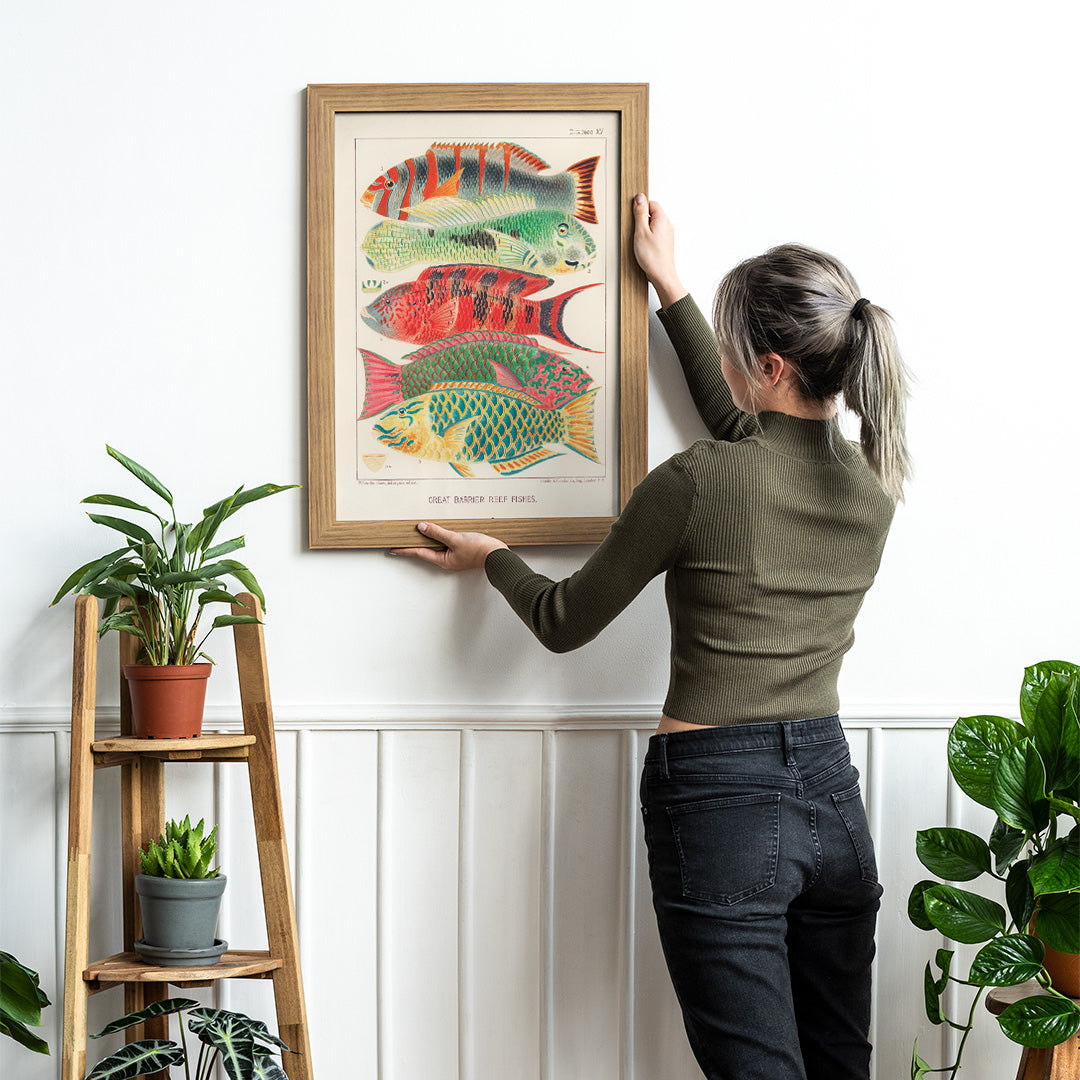 Kvinde hænger plakat af farverige fisk på væg