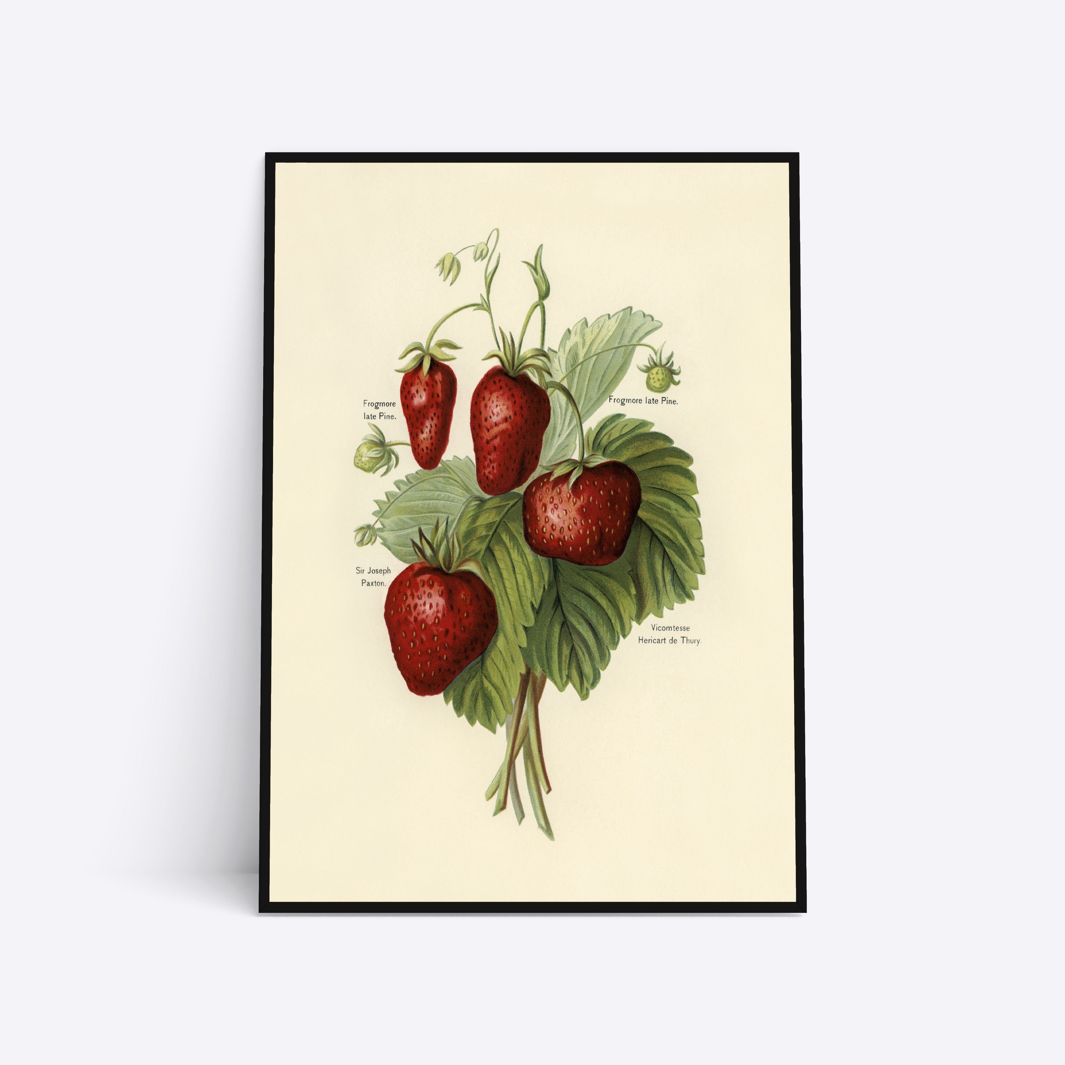 Se Strawberries - 50x70 cm hos Poster Society