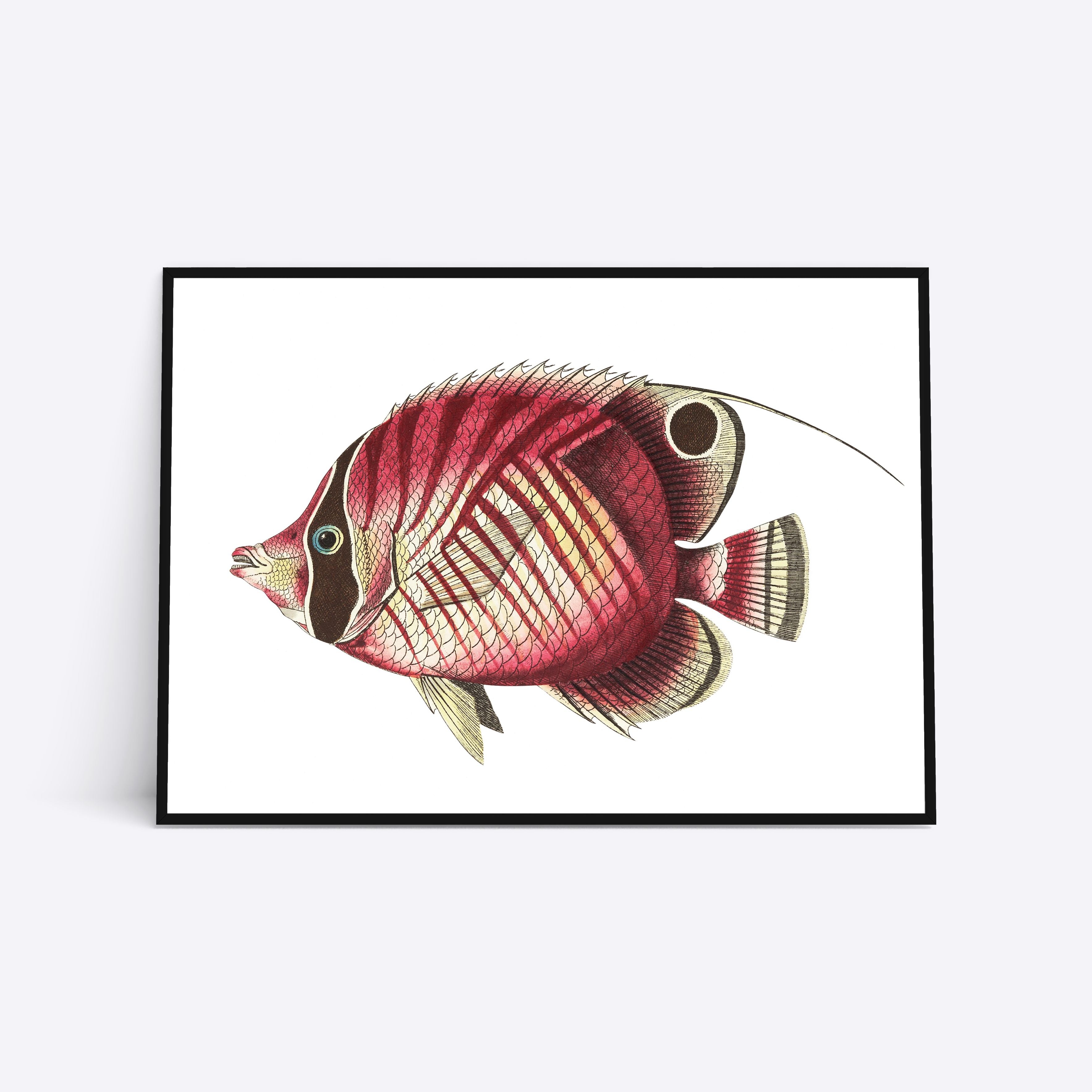 Billede af Pink Fish - 21x30 cm