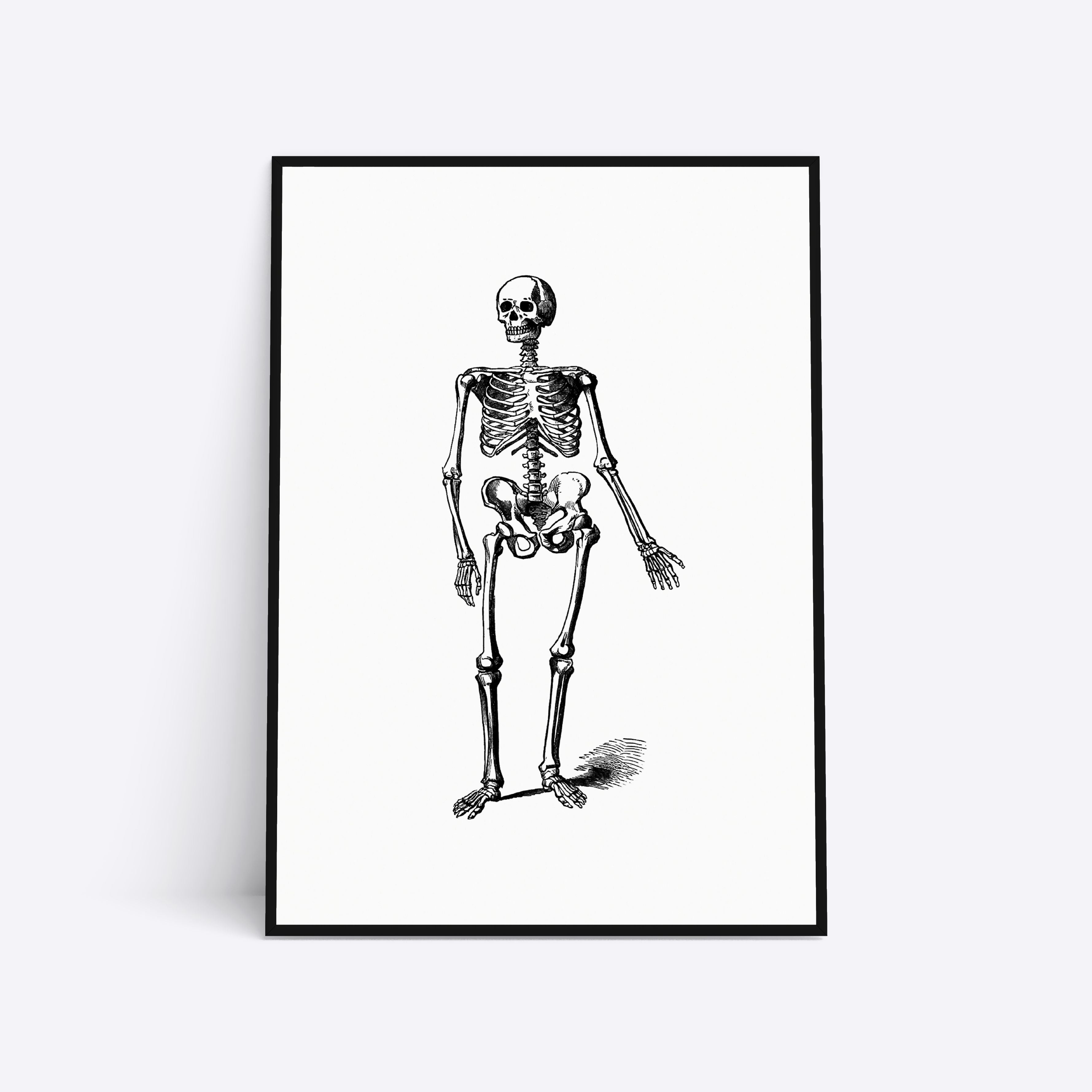 Se Skeleton - 50x70 cm hos Poster Society