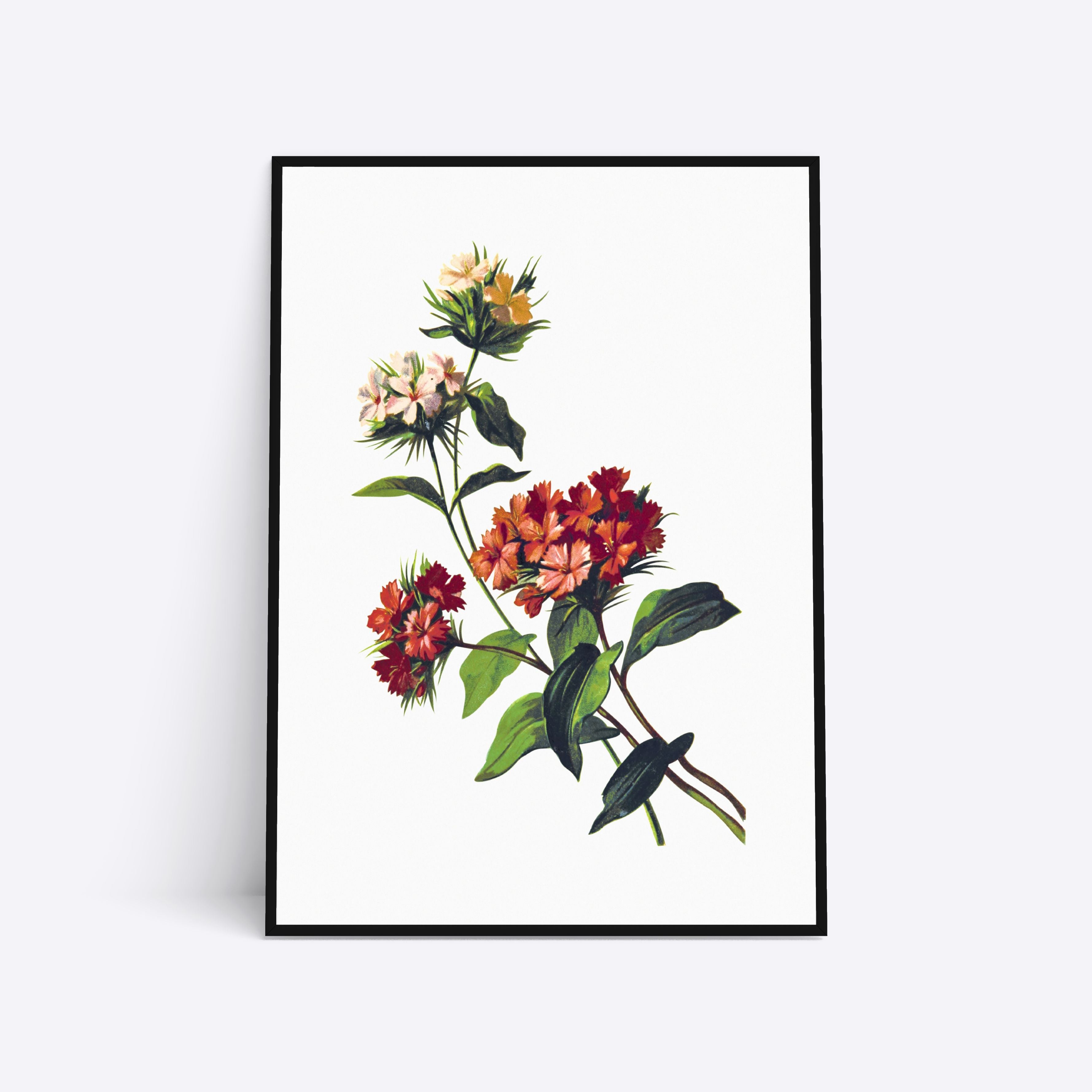 Se Wild Flowers - 21x30 cm hos Poster Society