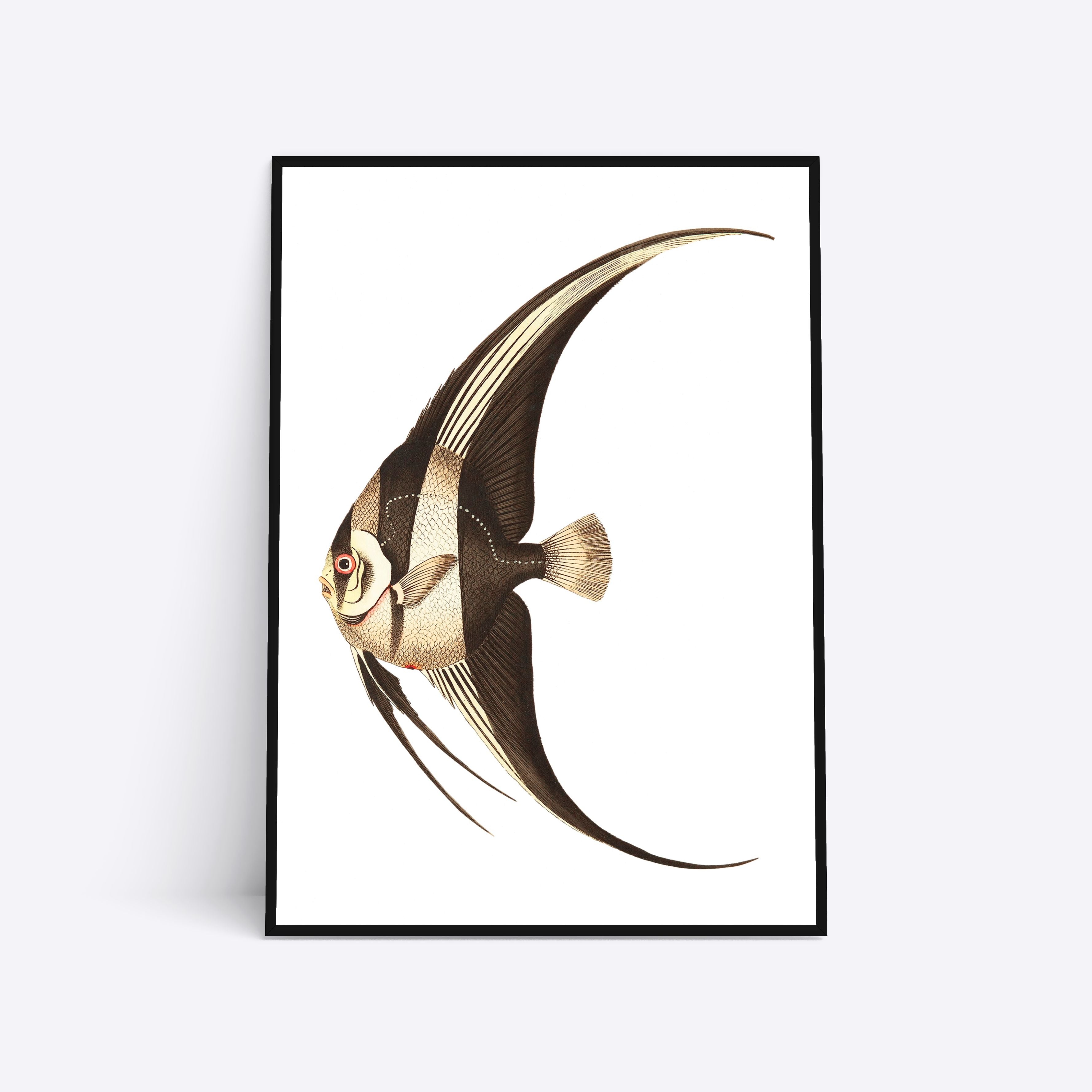 Se Brown Fish - 21x30 cm hos Poster Society