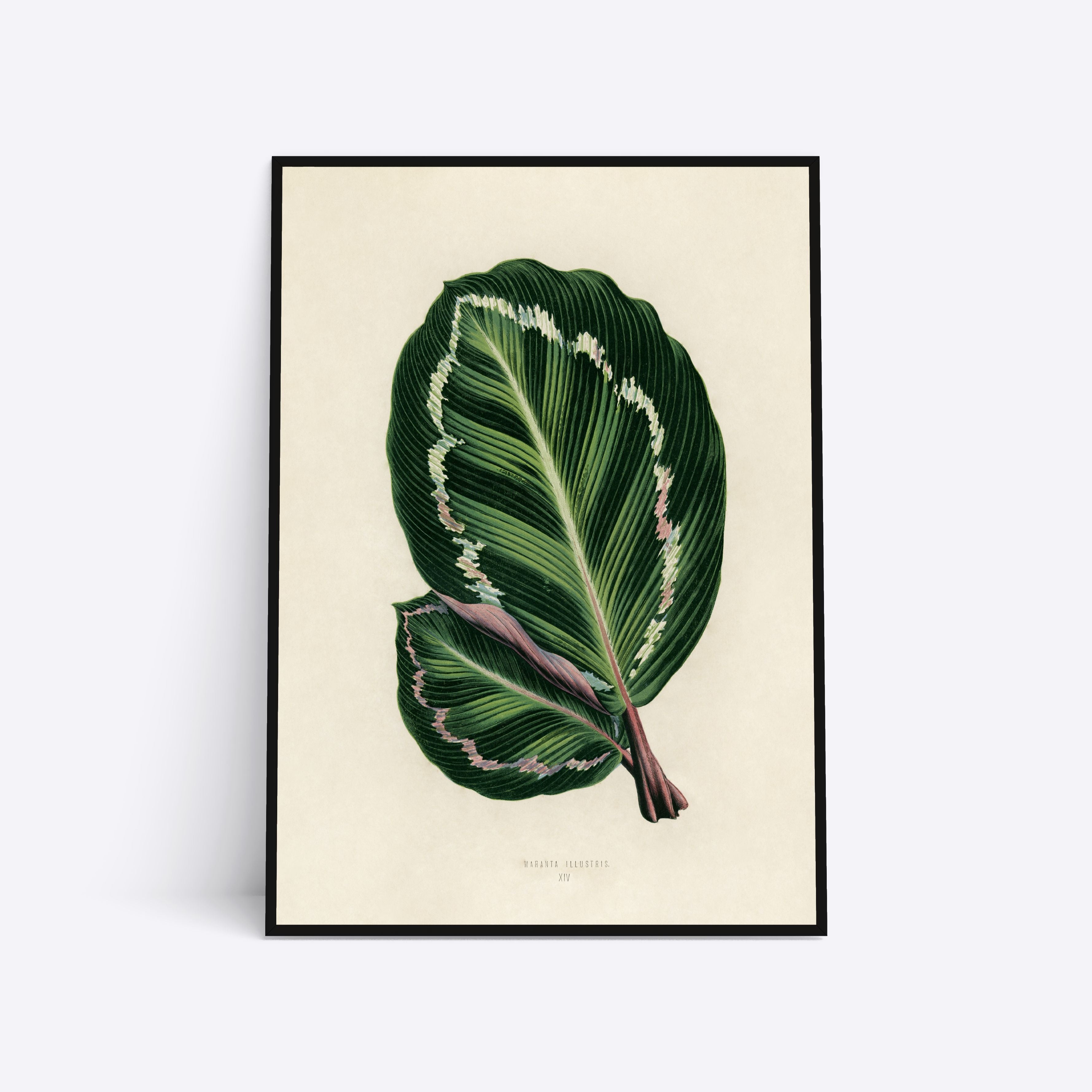 Se Leaves - 30x40 cm hos Poster Society