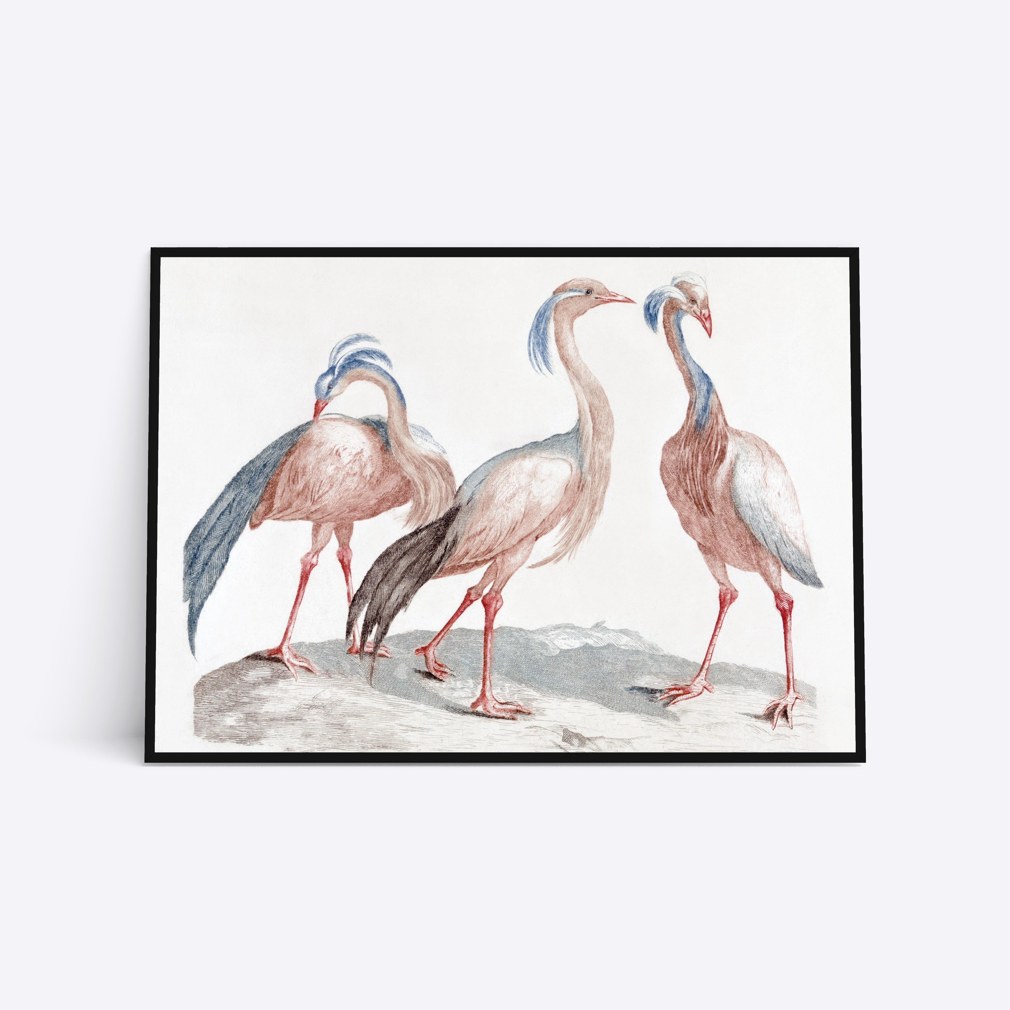 Se Three Birds - 21x30 cm hos Poster Society