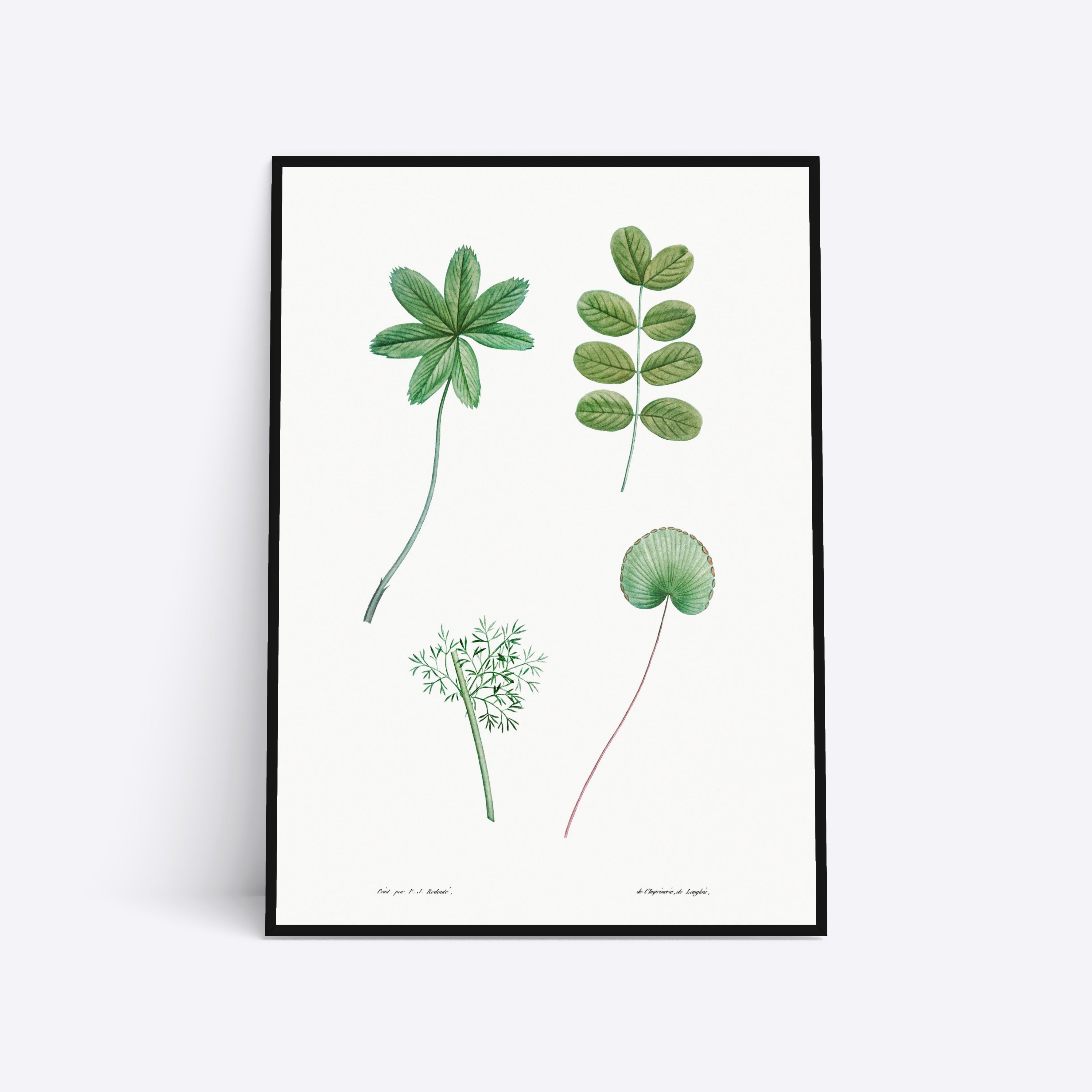 Se Plants - 21x30 cm hos Poster Society