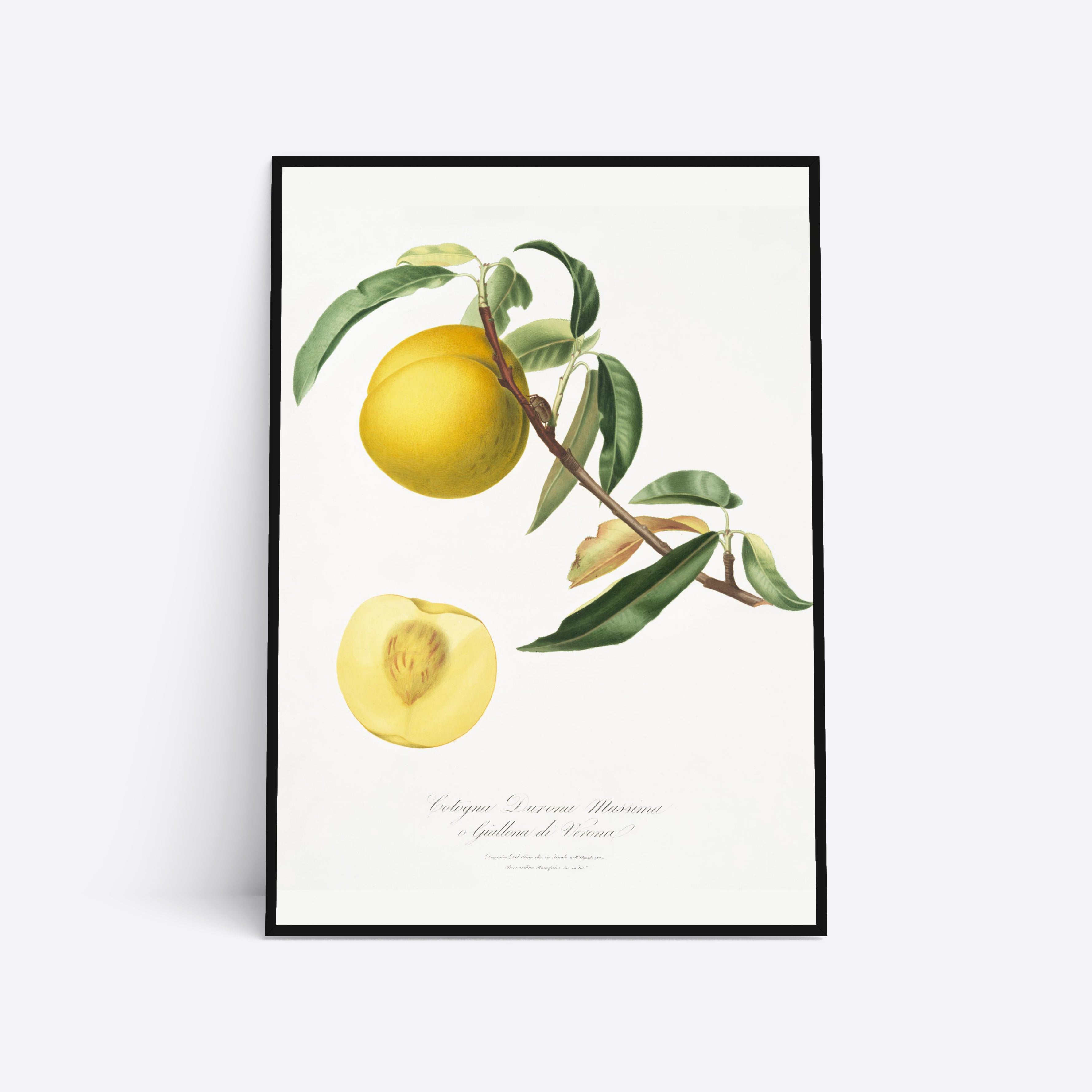 Se Yellow Peach - 30x40 cm hos Poster Society