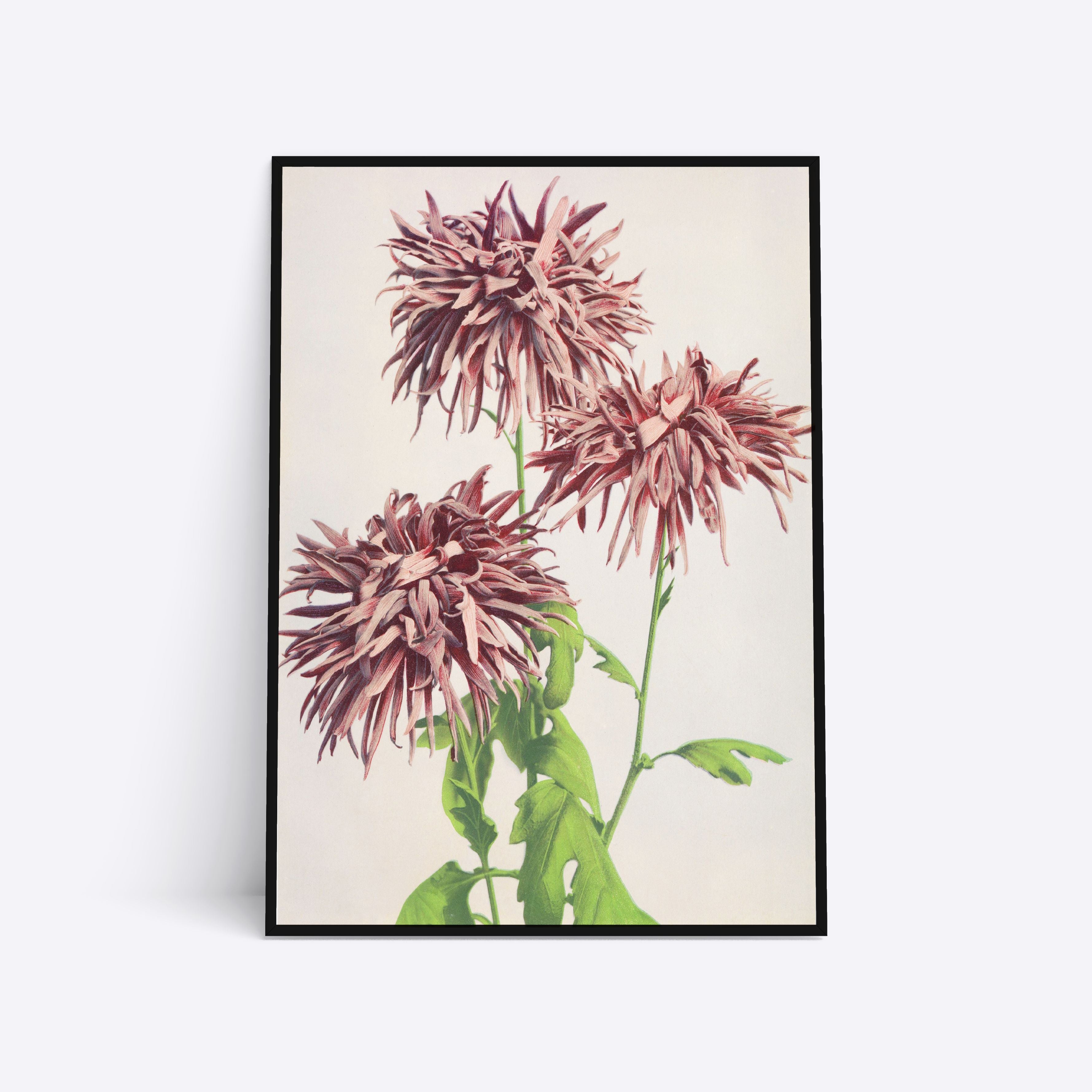 Billede af Wild Flower Heads - 21x30 cm