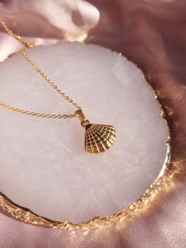 Gold Seashell Necklace