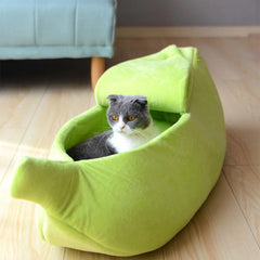 Cat in a Green Banana Bed