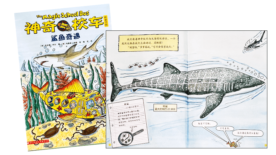 鲨鱼奇遇 The Magic School Bus and the Shark Adventure