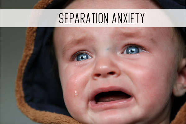 Learn About The Causes Of Separation Anxiety Child Care Lounge