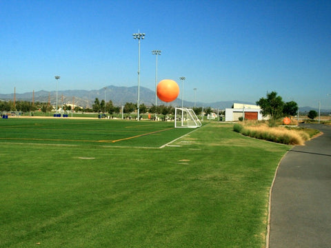 UC Verde Buffalo Grass parks and public places sports field