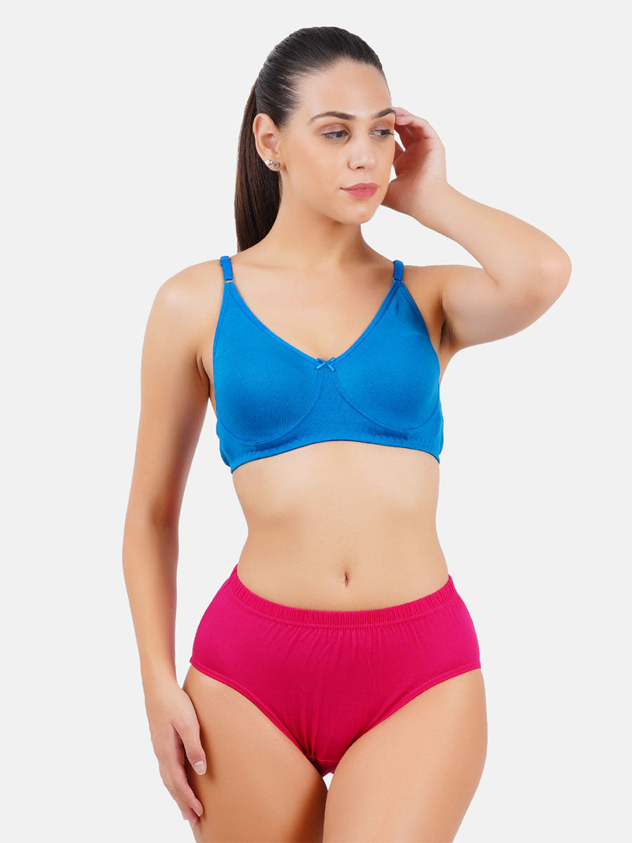 Comfy Women Briefs( set of 3 ) at Rs 166/set, bommasandra jigani link road, Bengaluru