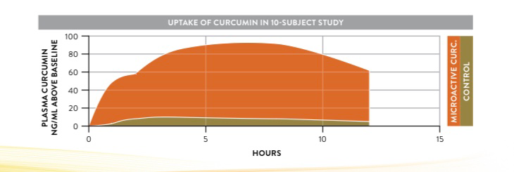 Uptake of Curcumin in 10-Subject Study