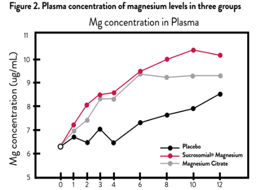 Plasma concentration graph