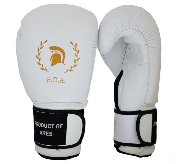 Download Boxing Training Gloves - Fight All White Elite Edition ...