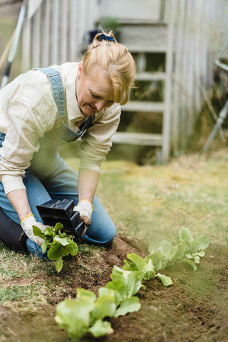 Growing Crops on Farm