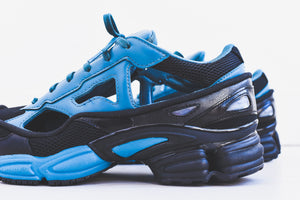 adidas by Raf Simons Replicant Ozweego Pack 2