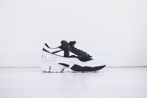 adidas by Raf Simons Replicant Ozweego Pack 4