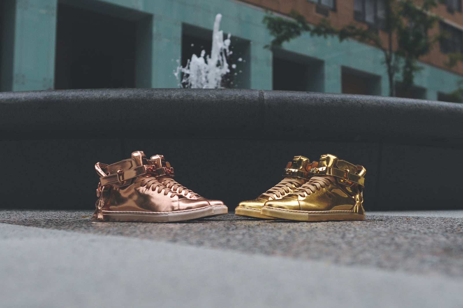 buscemi gold