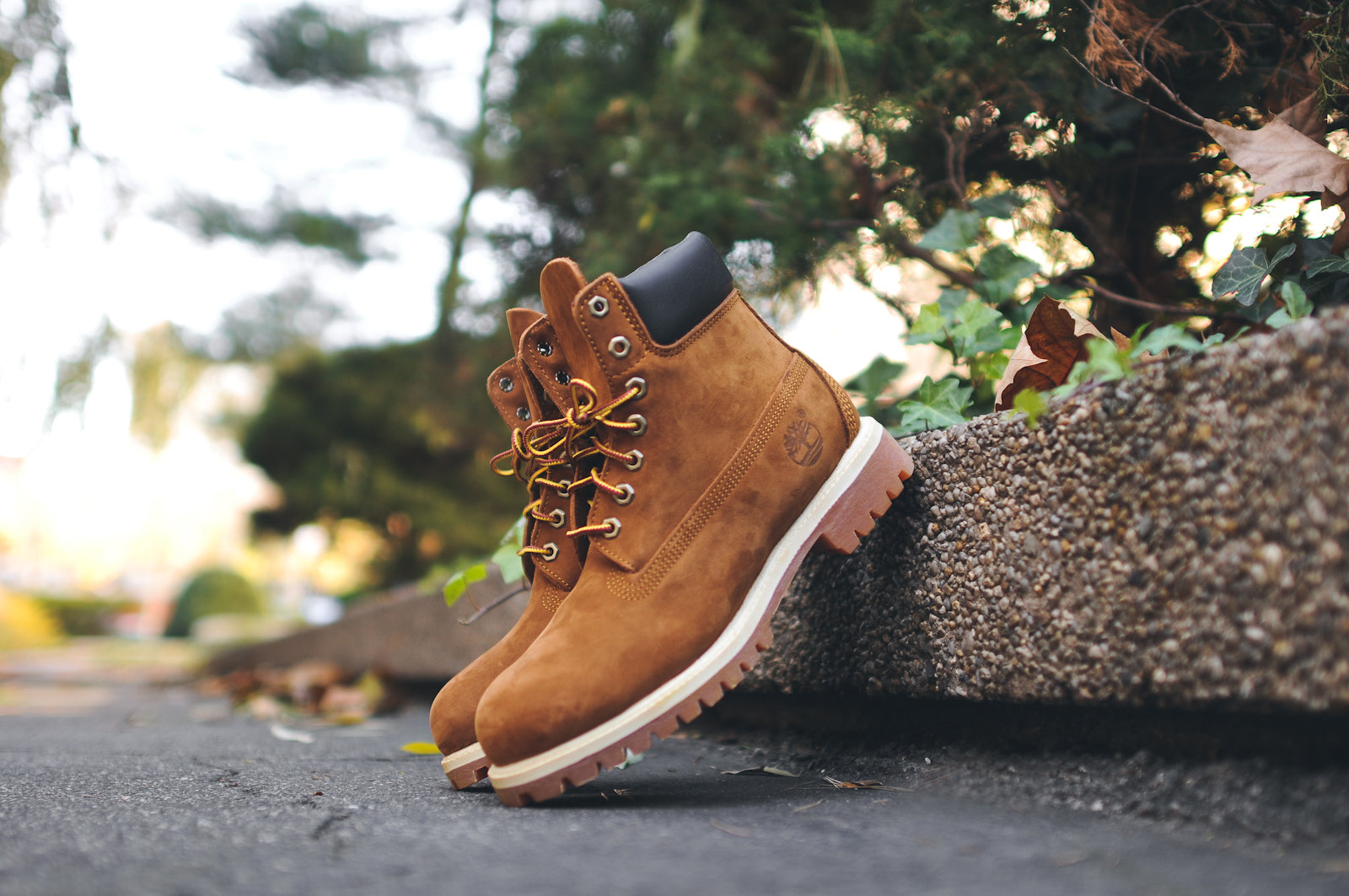 Timberland premium boot rust фото 114