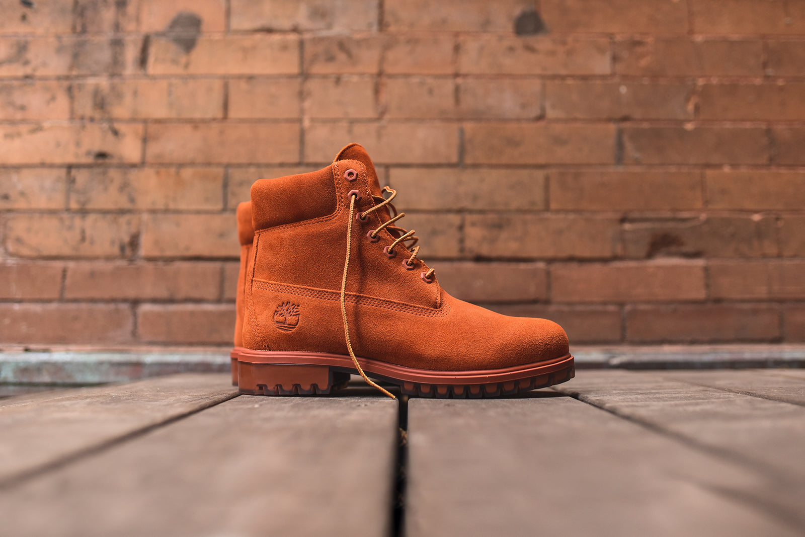 timberland autumn leaf