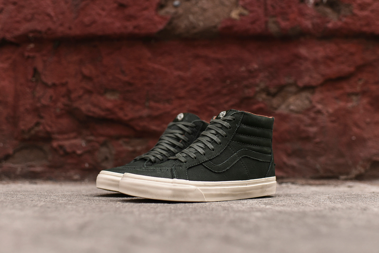 sk8 hi reissue zip dx