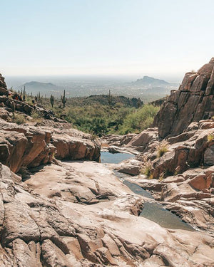 Kith for Columbia - Sonoran Desert 5