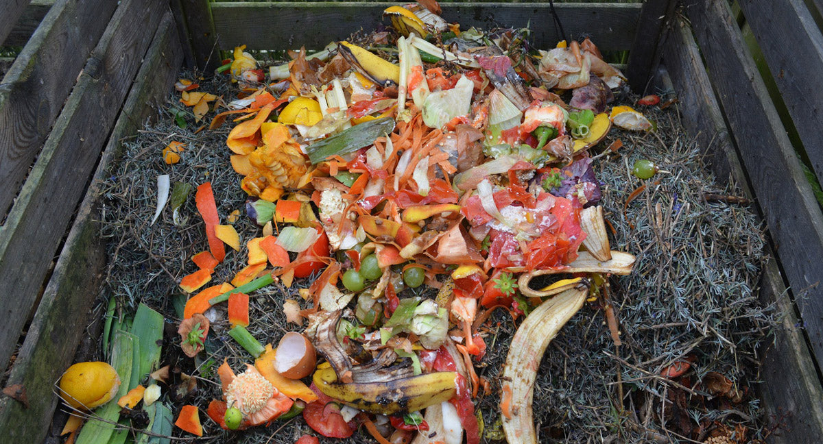 Start composting