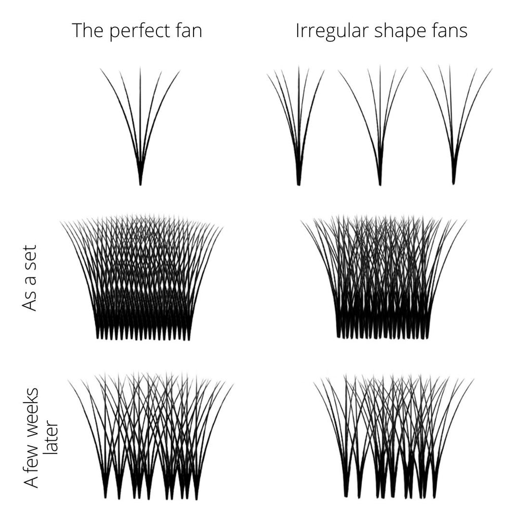 Perfect-lash-fan-vs-imperfect-lash-fans-individually-and-in-a-bunch
