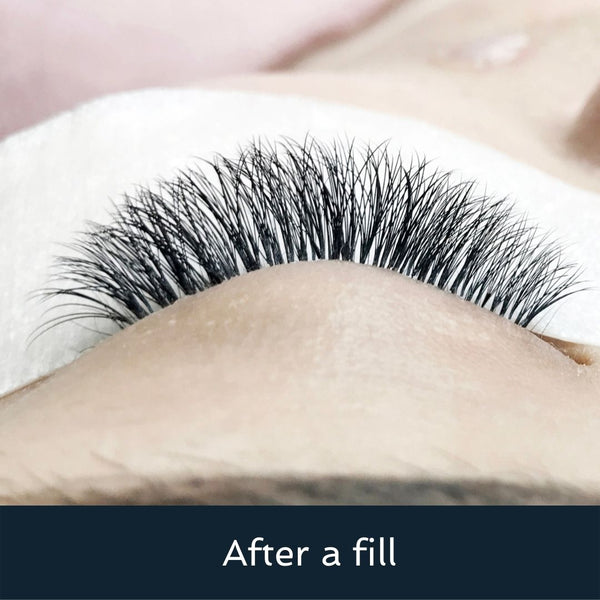 How to lash extension fill: tips and tricks