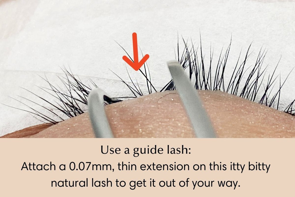 lash extension isolation tip