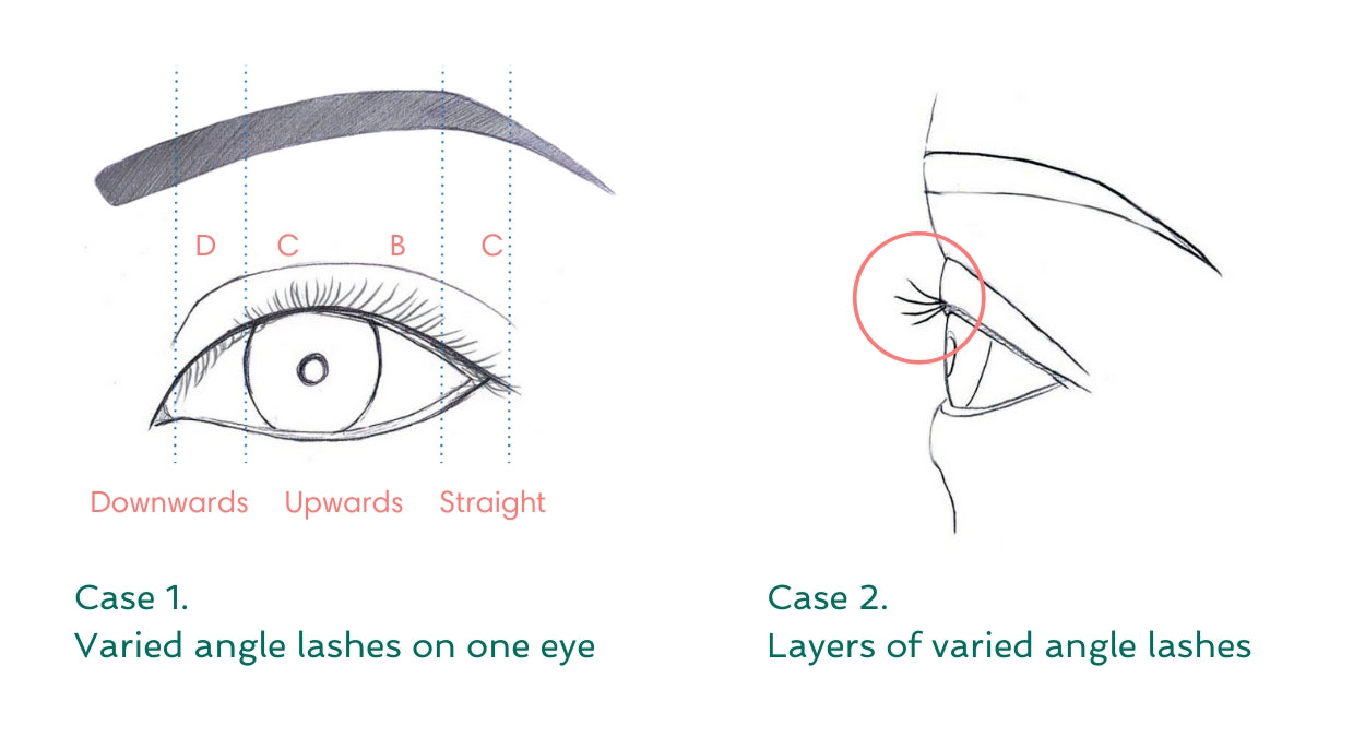 Eyelash extension curls guideline by BL Blink Lashes