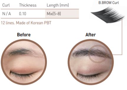 bl blink eyebrow extensions - b brow - eyebrow extension supplies and wholesale