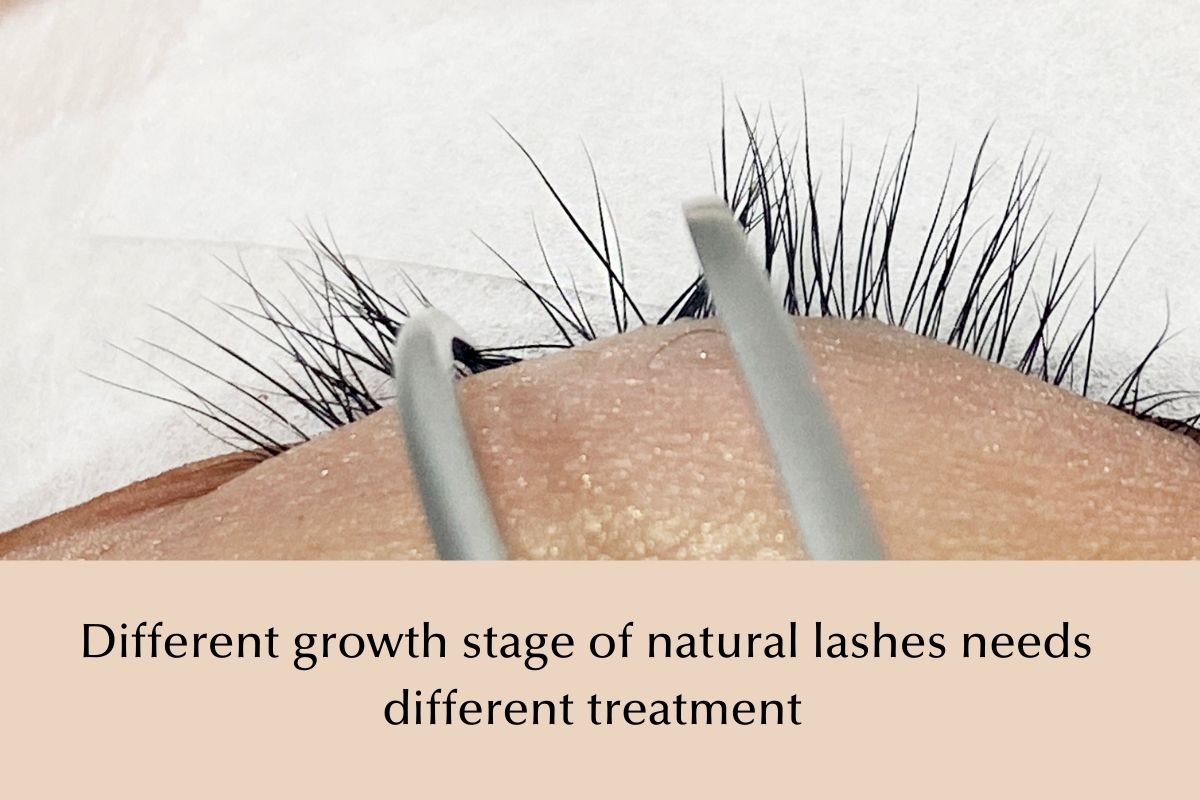 Different lash growth stage needs different lash extensions