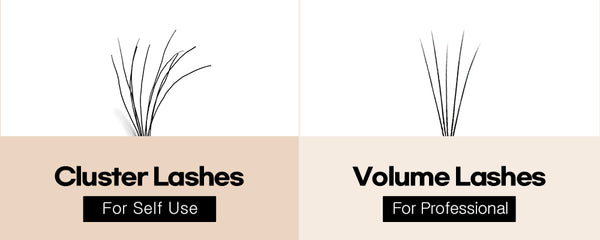 Cluster vs Volume Lashes