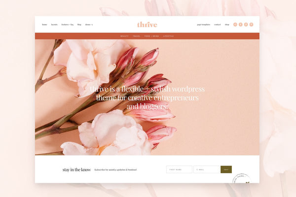 website and branding for beauty business by bl blink lashes