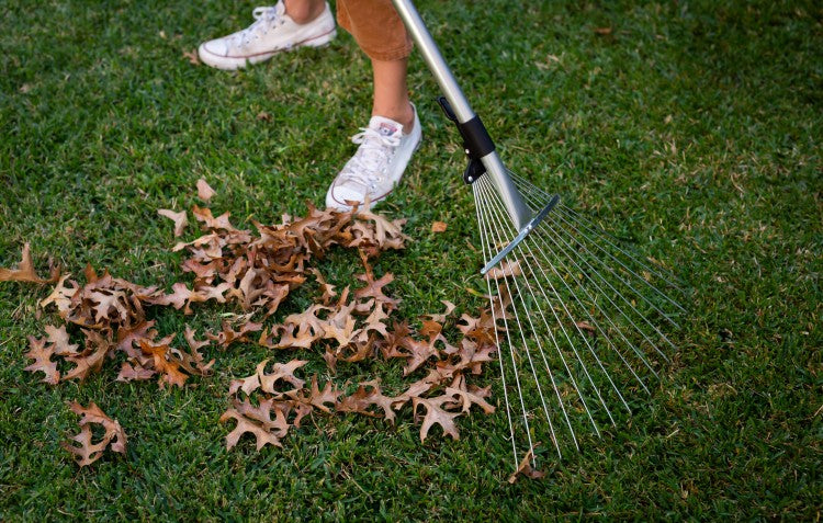 rake-being-used-to-clean-up-leaves