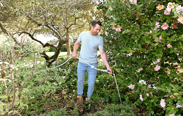 root waterer and soil breaker