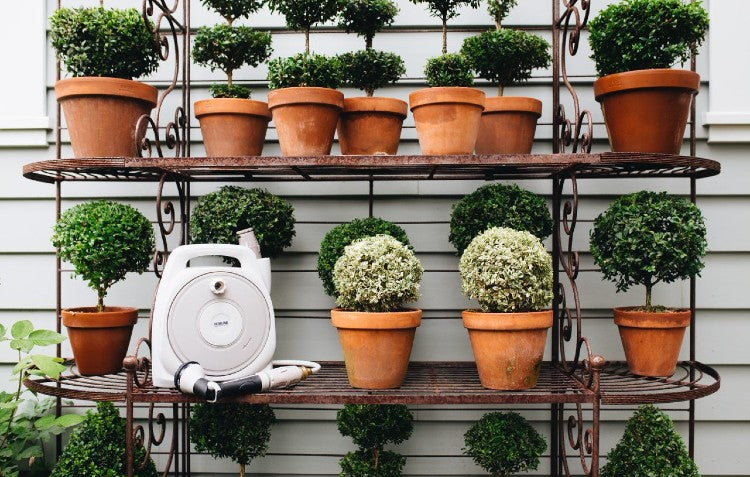 terracotta pots on garden shelf with compact hose reel