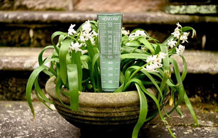 rain gauge in pot plant