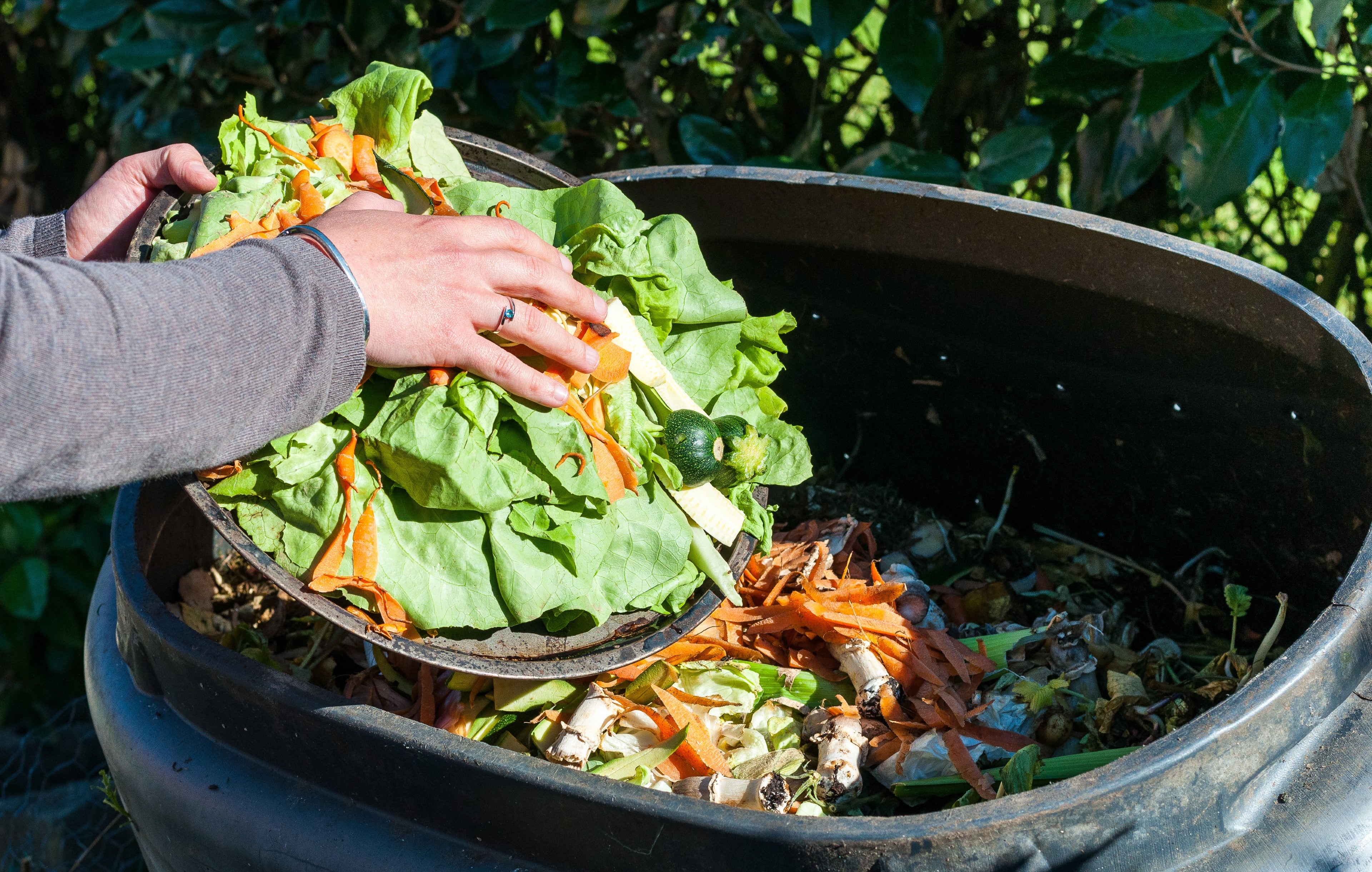 scrapping-food-scraps-into-an-outside-compost-bin
