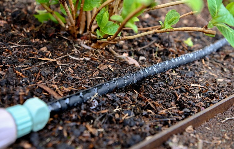 weeper hose in garden