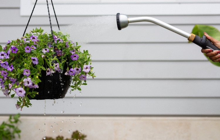 shower-wand-watering-plant