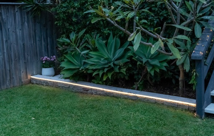 garden edge lit by solar LED strip light