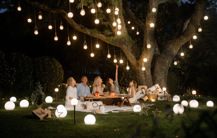 christmas picnic and solar lights