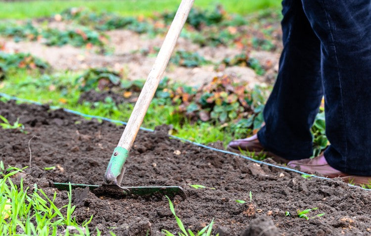 Tilling soil in the garden