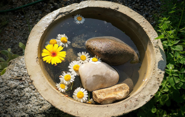 water source for bees
