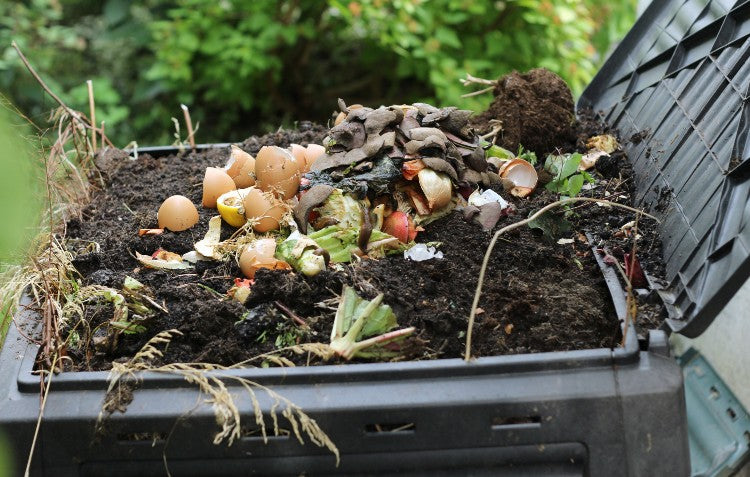 compost-bin-with-food-scraps